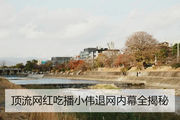 顶流网红吃播小伟退网内幕全揭秘